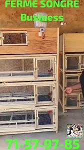 1.1M views · 8.9K reactions | Salut la famille !!! -- pour tous besoin de case pour vos différents types d'élevage n'hésitez pas à nous contactés. -- Tel::71-57-97-85 --- Élevage Moderne au Burkina Faso | Élevage Moderne au Burkina Faso | Facebook