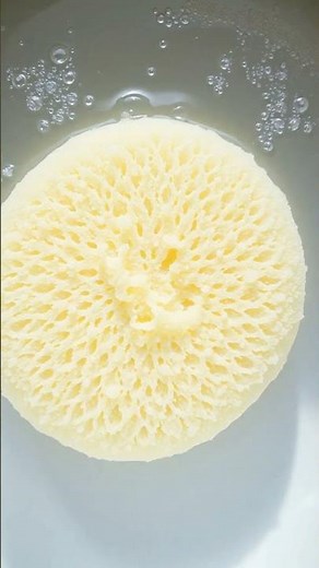 Understanding How Humidors Work A Deep Dive into Humidity Control