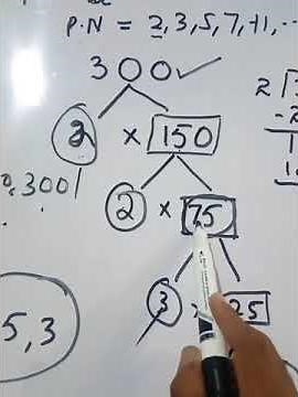 What are the prime factors of 300 | Factors of 300