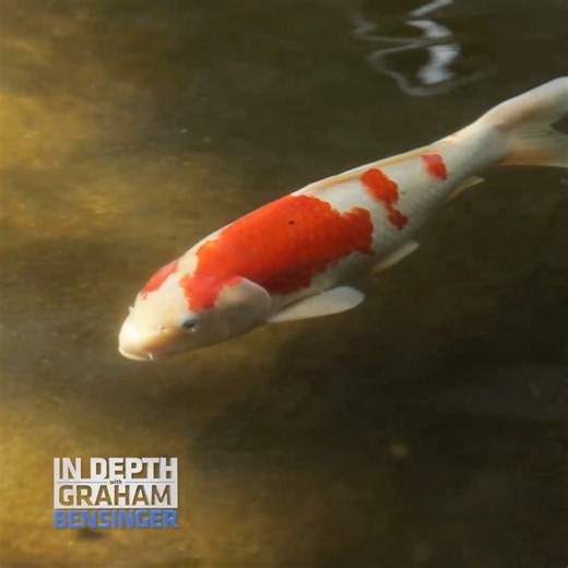 Russell Simmons gives us a tour of his Bali estate, including the custom villa designed for Snoop Dogg #Bali | Graham Bensinger