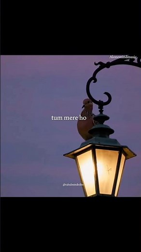 chura liya hai tumne jo dil ko #ashabhosle #old#aesthetic #lyricsvideo #edit#hindi#90s #ytshorts