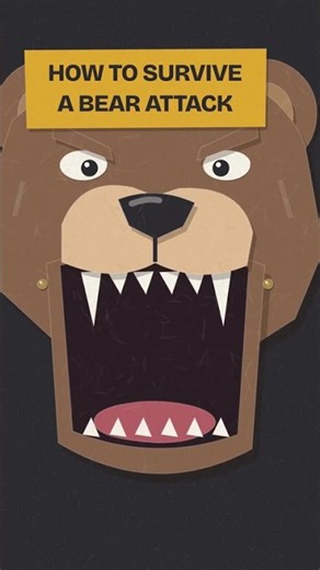 How to Survive a Bear Attack (Don’t Always Play Dead) #explainer #nature #science