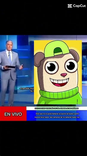 ANGUS PUERCO #humor #sabiasque #amor #fnf #twiddlefinger #triflethumb #feet @Diego_morales822