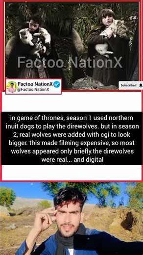 Direwolves: Real Dogs… and CGI Legends 🐺✨