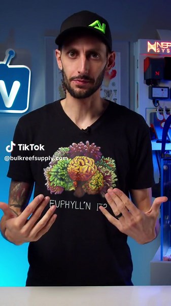 EcoTech Marine's VorTech line is sleek with no cords in the aquarium, easy to clean, and great compatibility with their battery backup! #bulkreefsupply #brstv #saltwateraquarium #reeftank #reef #fishtank #coral #reefaquarium #saltwatertank #aquarium #marinelife #oceanlife #tropicalfish #fish #hobby #freshwater #freshwateraquarium #plantedtank #aquascape #ecotechmarine