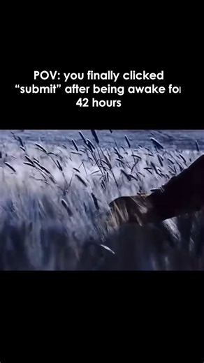 EssayWolf on Instagram: "It's ok, gang, yall can sleep, Wolves will take over! Professional Essay Writing: info@essaywolf.com #university #study #student #uni #studentlife #essay #exam #studentmemes #collegememes #exammemes #essaywriting #thesishelp #thesiswriting"