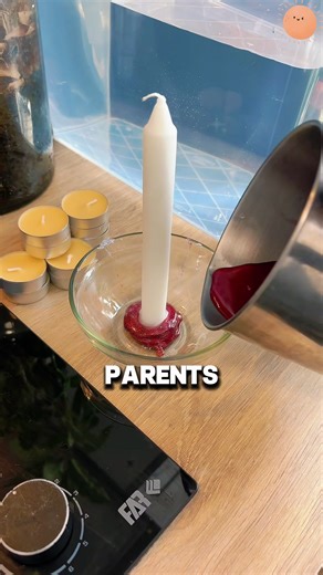 Exploring Reddit: What Makes It Unique?