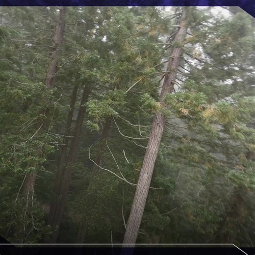 3.6K views · 2K reactions | Say goodbye to limitations & embrace the thrill of speed and agility. | Yamaha Power Assist Bicycles | Facebook