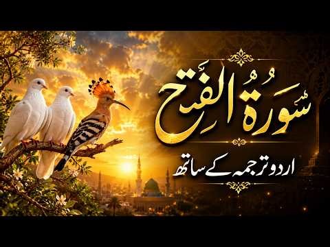 Surah Al-Fath Urdu Tarjuma K Sath | سورة الفتح اردو ترجمہ کے ساتھ | فتح اور نصرت کی سورت
