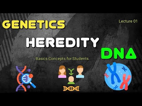 The Basics of Genetics Heredity and DNA