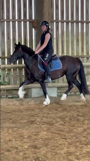 Poney à vendre - Super Ponette à vendre - equirodi.com