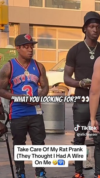 Hilarious Rat Prank: Miscommunication and Laughter