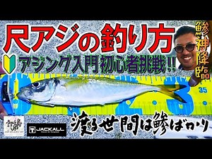 [Ajing] Even beginners can catch large horse mackerel! I asked "Ajigami-sama" to teach me how to ...