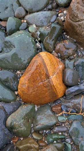 #Rockhounding #geologyrocks #poppyjasper #orbicularjasper #rockhunting