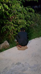 11K views · 290 reactions | Coming Soon | Crystal Film | Facebook