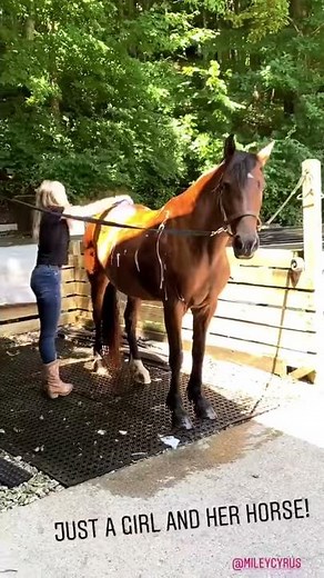 Miley Cyrus and her horse on Instagram Stories