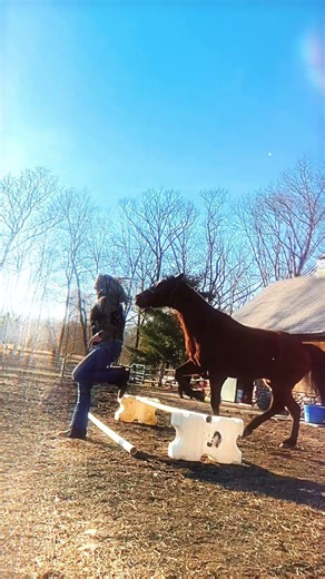 ⚠️ FW ⚠️. I love to have Willy jump, my little non all rounder 😭🥺