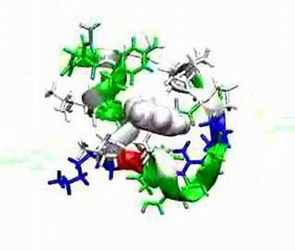 Folding of the Trp-cage Miniprotein