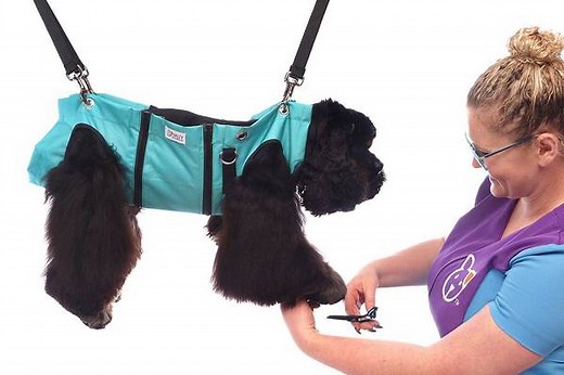 DIY Grooming Sling Pattern and Tips (Helpful How-To Guide)