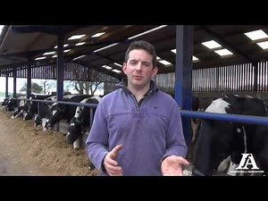 Data entry through mobile app on a dairy farm