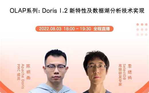 Apache Doris 数据湖分析技术与应用实践