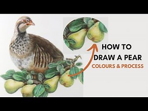 How to Draw a Pear with Coloured Pencil - colour choices, techniques and method