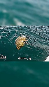 4.3M views · 201K reactions | Devon larratt vs Big Fish #armwrestling #armwrestler #armfighting #armwrestle #fyp #training #armfighter #devon #devonlarratt | Arm Hercules | Facebook