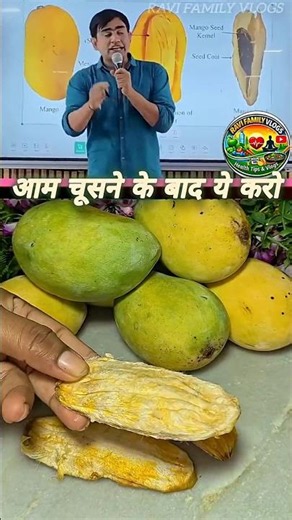Benifits of Mango Seeds For Haircare #fact #facts #dandruff #information #health #haircare #hairfall