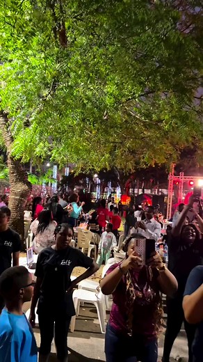 11K views · 218 reactions | Experience the magic of the season at JAV...