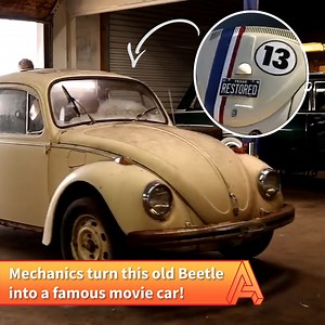 1M views · 24K reactions | What a magnificent transformation! 朗 | VT | Facebook