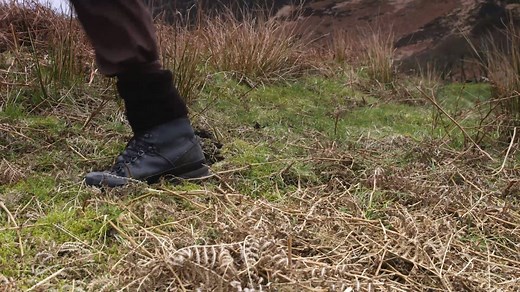 Despite laws to protect them our remarkable birds of prey are still shot, poisoned and trapped. The RSPB investigates raptor persecution every week and works with the police to catch the culprits. Please support this vital work today by becoming a bird of prey defender https://www.rspb.org.uk/join-and-donate/donate/appeals/birds-of-prey-defenders/ | RSPB Scotland