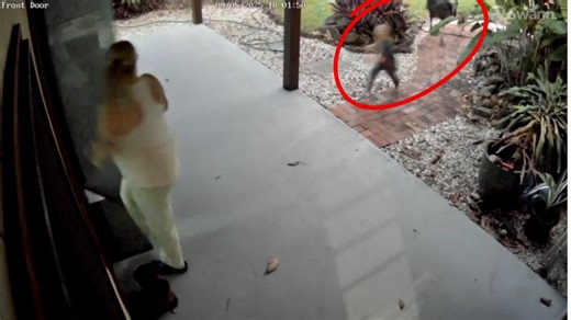 Mum and daughter flee aggressive cassowary expecting food