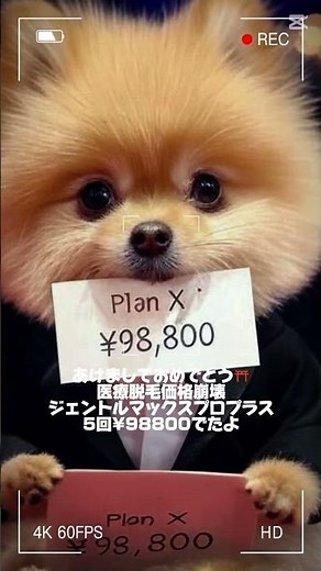 【新脱毛プランについて】医療脱毛ならコレ、というプランを作りました。結論から、ジェントルマックスプロプラスの医療脱毛が全身5回¥98800というプランを発表させていただきます。 #おすすめ#医療脱毛