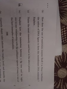 (b) How does the use of restriction enzyme EcoR I in Step-1 fac... | Filo