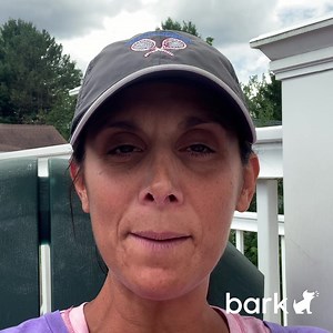 210 reactions · 38 shares |  PARENTS: Bark is here to help keep your kid safe online. Start your FREE trial today! | Bark - Parental Controls | Facebook