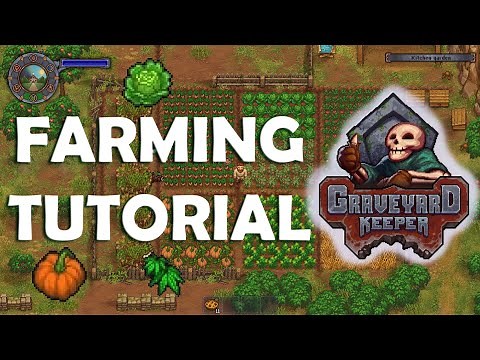 COMPLETE FARMING GUIDE - Graveyard Keeper