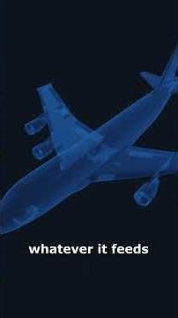 Why Air Force One Never Has to Land #shorts