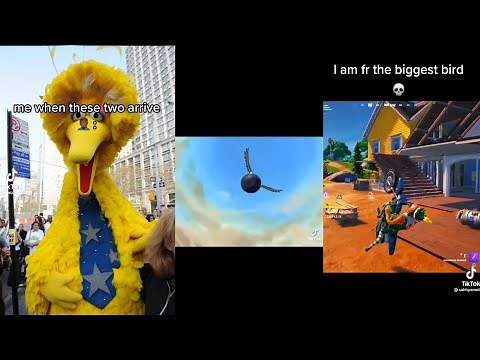 Im Da Biggest Bird Meme Compilation