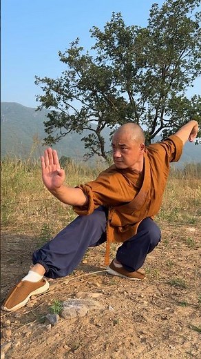 SHAOLIN KUNGFU MOVES || KICKBOXING MARTIAL ARTS #shaolin #martialarts