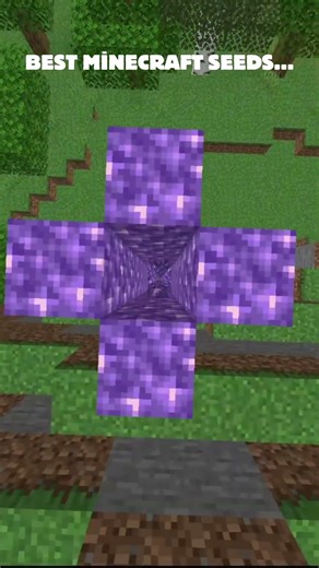 Did you understand where the vide ended?NOSTALGİA SEED #minecraftshorts #minecraft #minecraftmemes