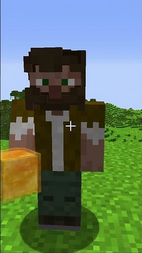 4 Minecraft Fakten... über Chaosflo44... 🍉