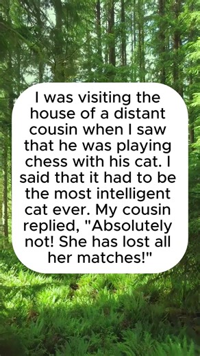 Not as Smart as It Looks😄 #funny #whowillbemylifepartnerta #jokes