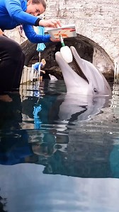 2.3K views · 303 reactions | Move over, Mona Lisa—there’s a new Da...