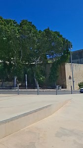 20K views · 512 reactions | Bormla Malta #bormla | Daily Malta | Facebook