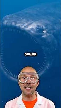 Scariest ocean sounds