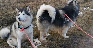 Video by Andrew Kota on Pexels