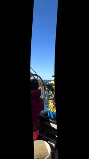 Exploring Dungeness Crab Fishing on the West Coast
