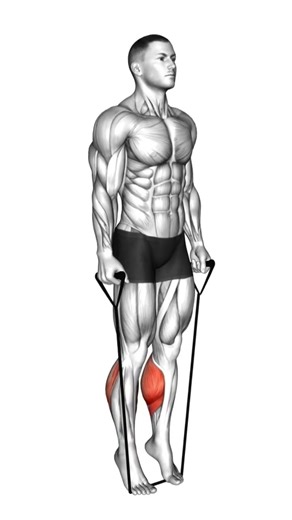 Band Standing Calf Raise#gymlife