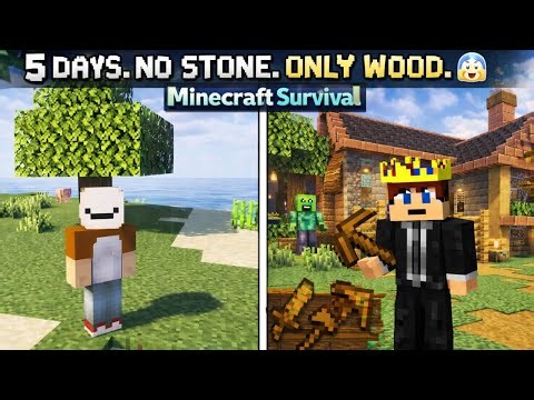 5 Days. No Stone. Only Wood. 😨 | Minecraft