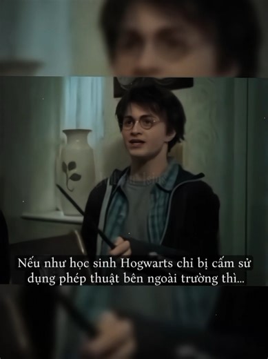 Khác với học sinh Hogwarts mua đũa phép tại tiệm Ollivanders trước khi nhập học, thì học sinh trường Ilvermorny chỉ được chọn đũa phép sau khi đã làm lễ phân nhà tại trường. Đặc biệt, theo Đạo luật Rappaport ban hành năm 1790 nhằm giữ bí mật tuyệt đối với người không biết phép thuật (No-Maj), học sinh Ilvermorny không phải chỉ bị cấm dùng phép thuật ở bên ngoài trường mà là bắt buộc phải để lại đũa phép tại trường trong các kỳ nghỉ và chỉ được phép mang đũa ra khỏi khuôn viên trường khi đã đủ 17